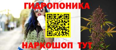 дмт Тулун