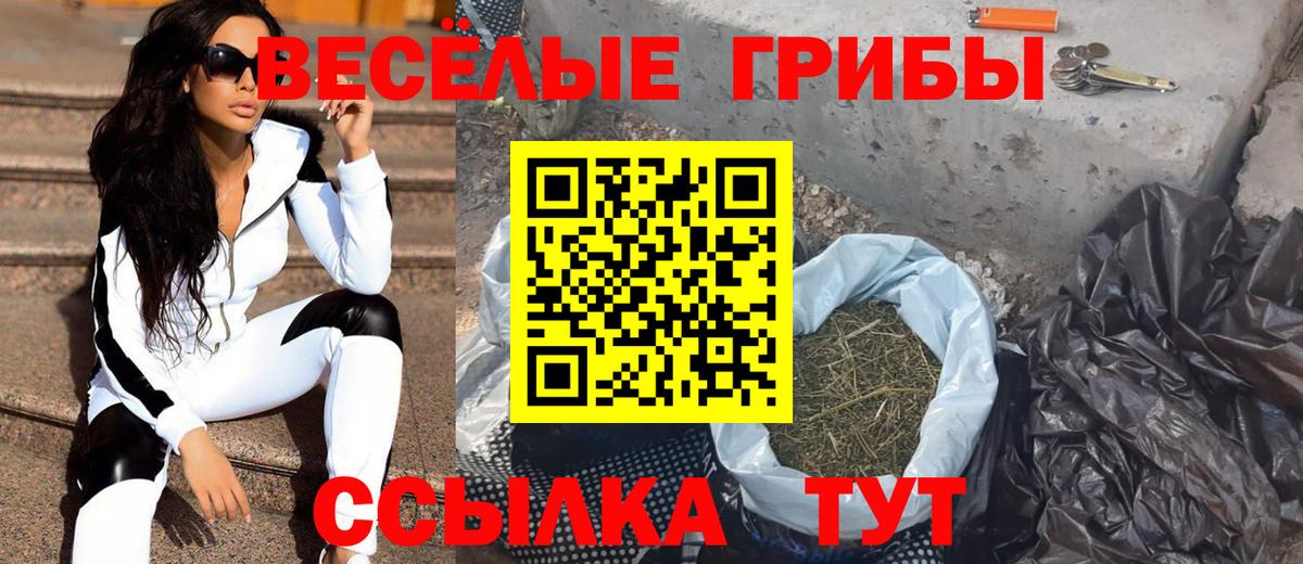 Галлюциногенные грибы Psilocybine cubensis Нижнеудинск