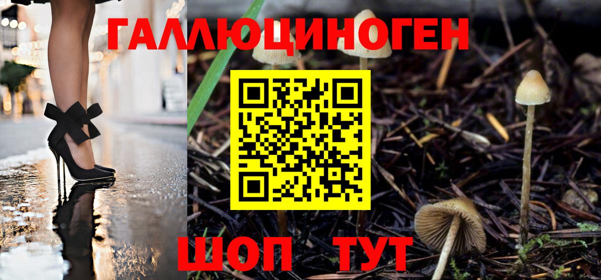 Нижнеудинск  Псилоцибиновые грибы Cubensis  Вход с VPN 