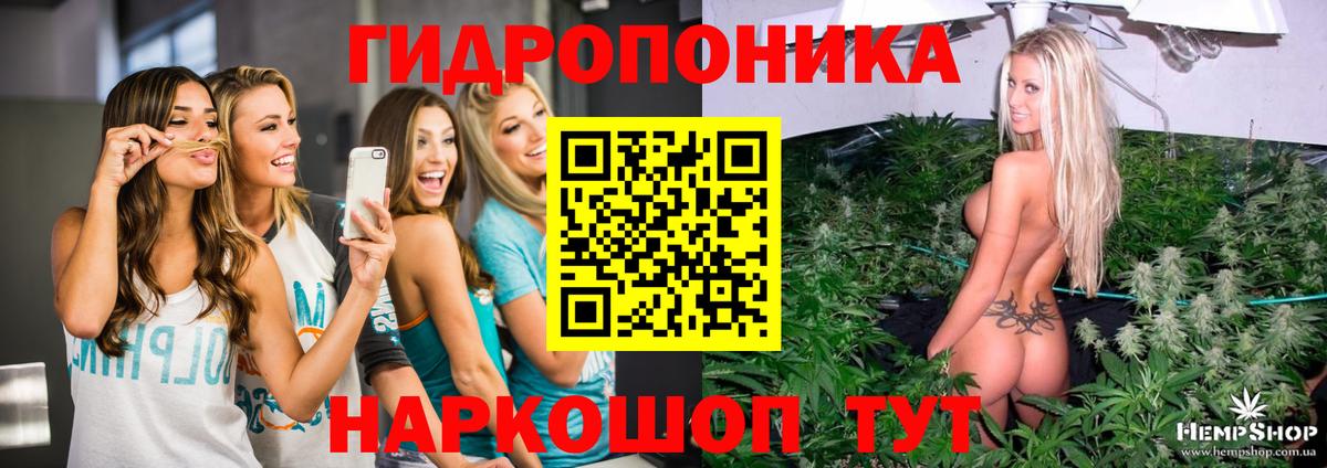 Бошки марихуана White Widow Нижнеудинск